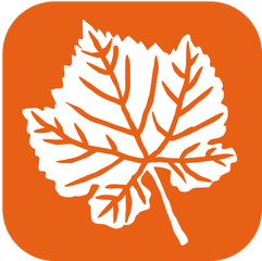 Frutta e Verdura autunnale