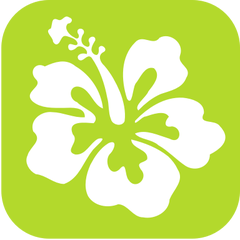 Frutta e verdura primaverile