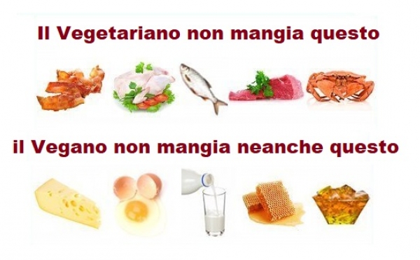 Vegano o vegetariano