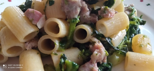 Mezzi rigatoni country